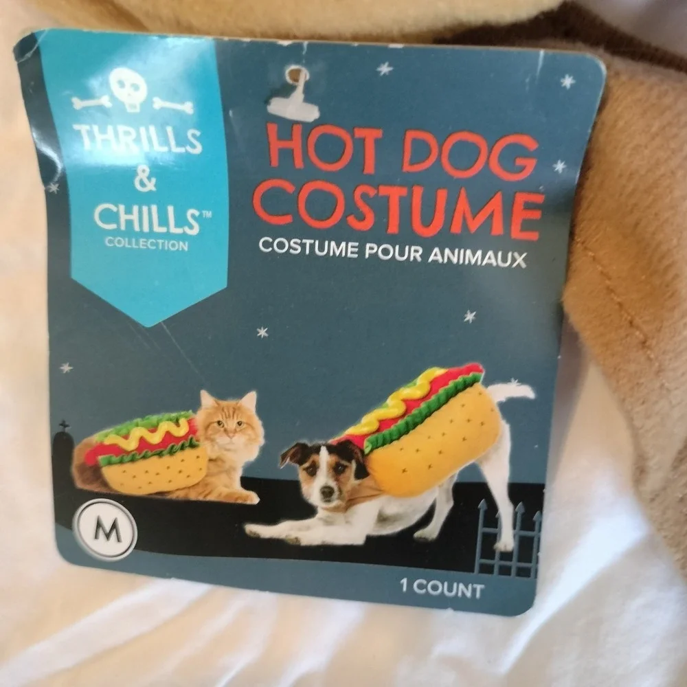 Casual Canine casual dog